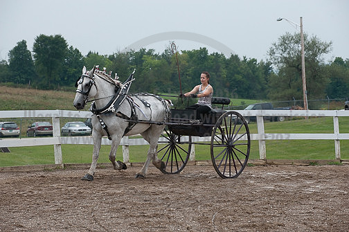ACF_2012_SCL3545
