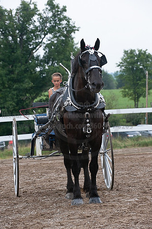 ACF_2012_SCL3743