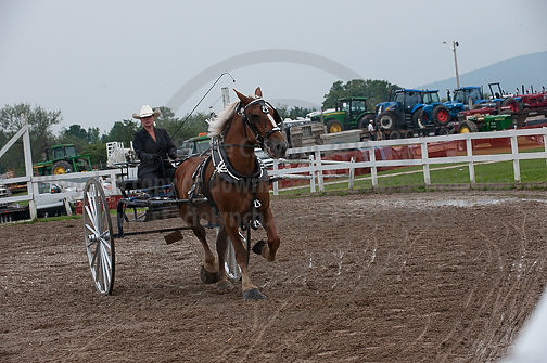 ACF_2012_SCL3790