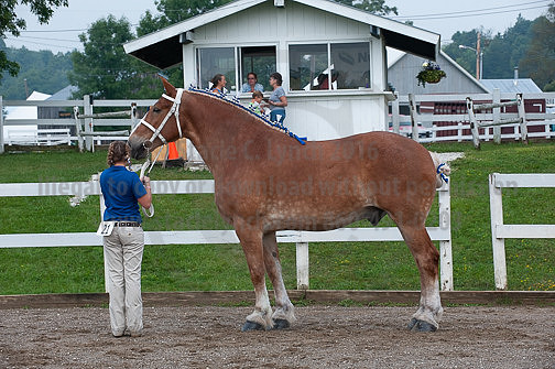 ACF_2012_SCL3106