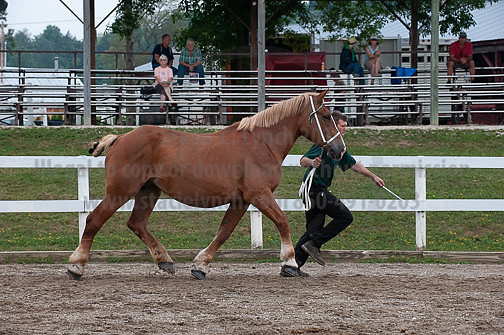 ACF_2012_SCL3301