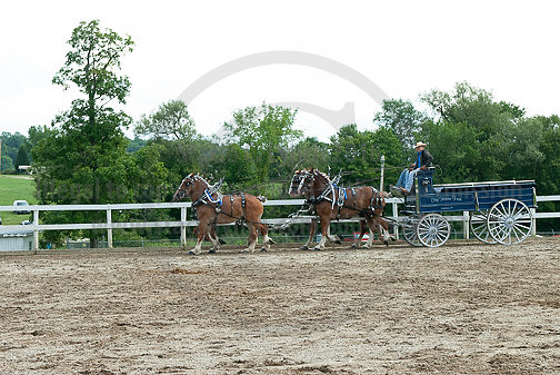 ACF_2012TDM_2576