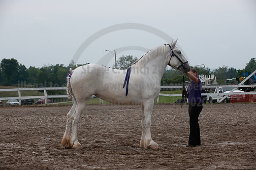 ACF_2012_SCL3391