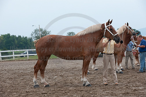 ACF_2012_SCL3418