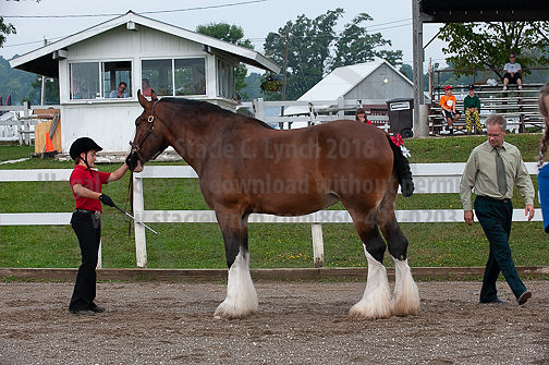 ACF_2012_SCL3095