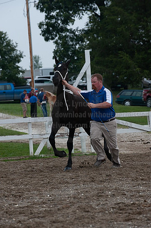 ACF_2012_SCL3258