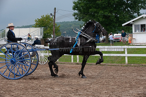 ACF_2012_SCL3882