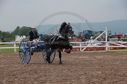 ACF_2012_SCL3878