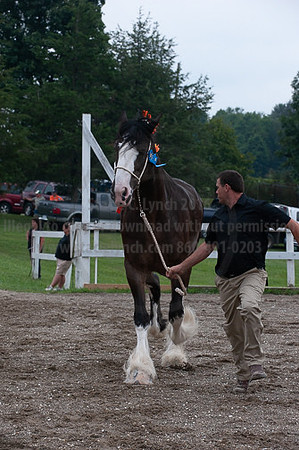 ACF_2012_SCL3466