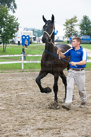 ACF_2012_SCL3284