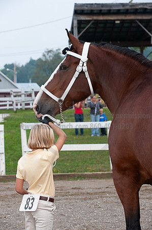 ACF_2012_SCL3088