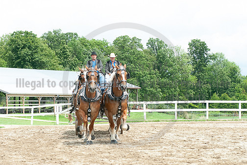 ACF_2012TDM_2568