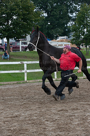 ACF_2012_SCL3359