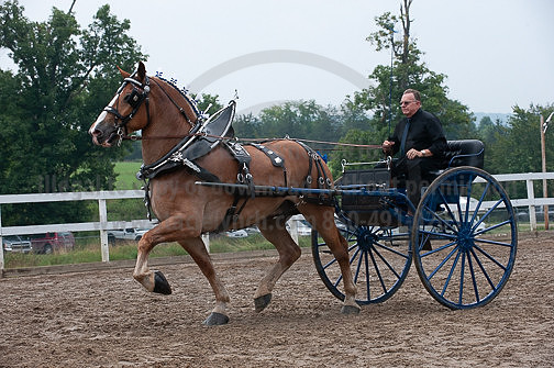 ACF_2012_SCL3859