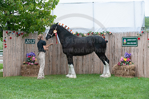 ACF_2012_SCL3472