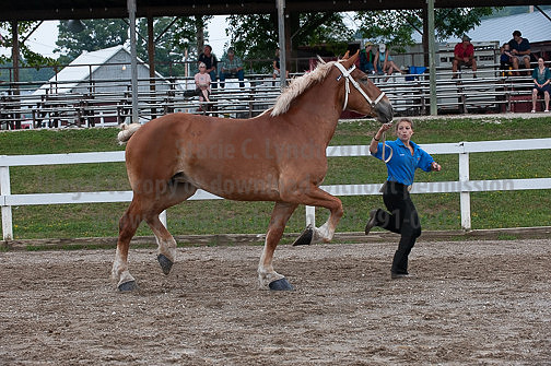 ACF_2012_SCL3311