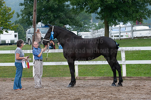 ACF_2012_SCL3162