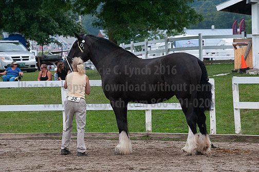 ACF_2012_SCL3448