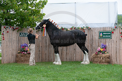 ACF_2012_SCL3471