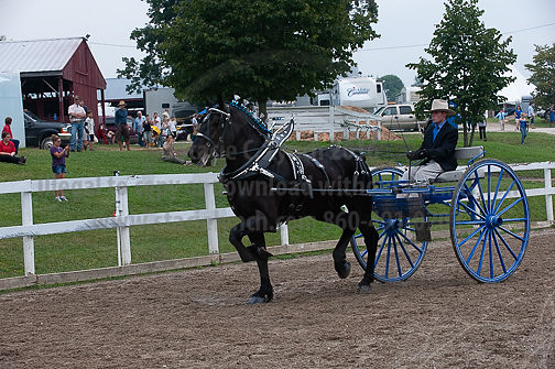 ACF_2012_SCL3863