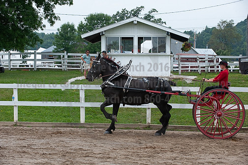 ACF_2012_SCL3531