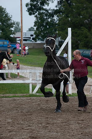 ACF_2012_SCL3356