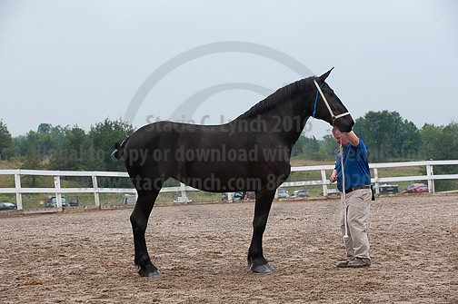 ACF_2012_SCL3434