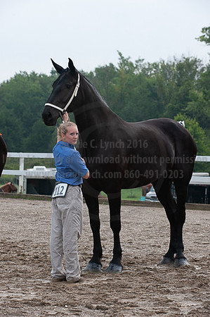 ACF_2012_SCL3158
