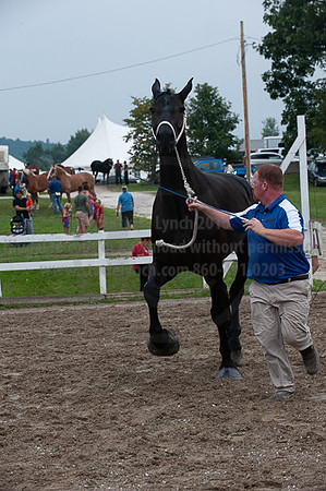 ACF_2012_SCL3421