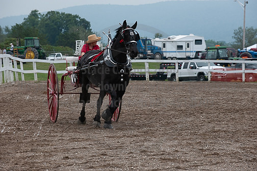 ACF_2012_SCL3611