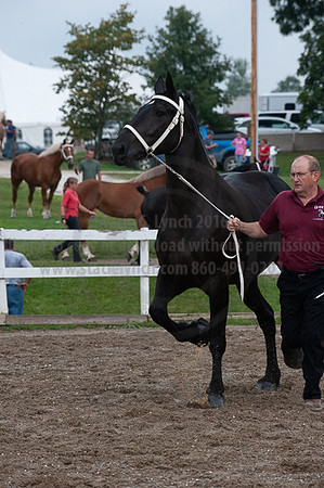 ACF_2012_SCL3357