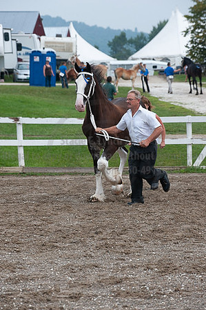 ACF_2012_SCL3196