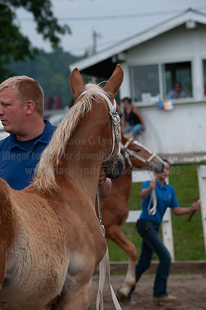 ACF_2012_SCL3245
