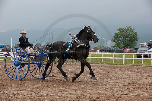 ACF_2012_SCL3880