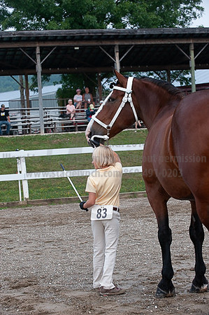 ACF_2012_SCL3087