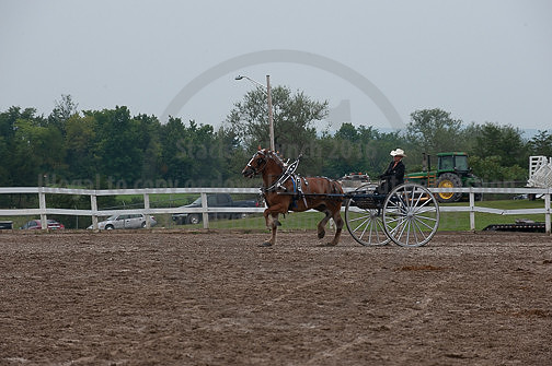 ACF_2012_SCL3511