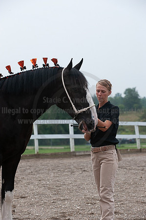 ACF_2012_SCL3146