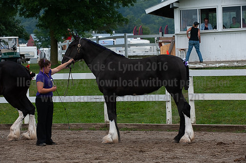 ACF_2012_SCL3226