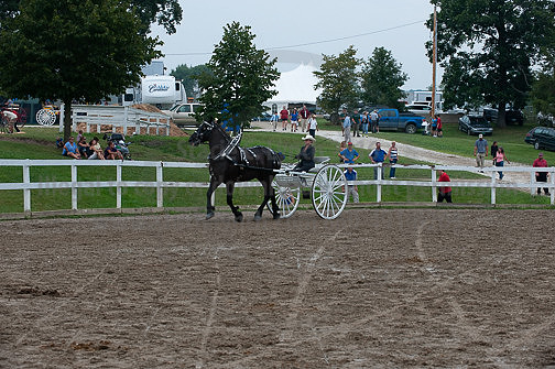 ACF_2012_SCL3539