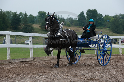 ACF_2012_SCL3563