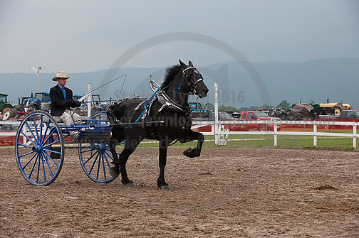 ACF_2012_SCL3879