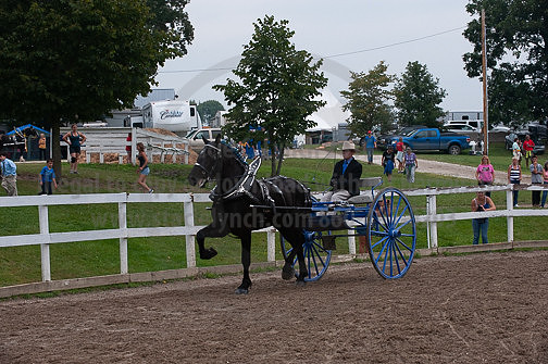 ACF_2012_SCL3873
