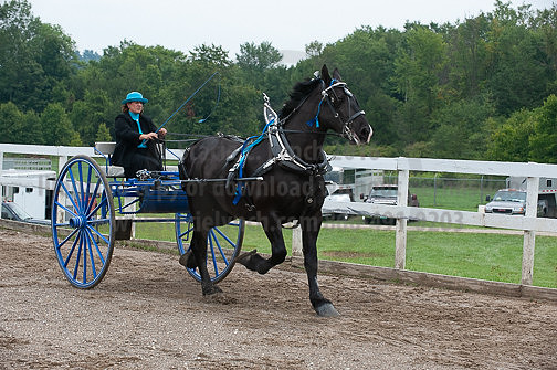 ACF_2012_SCL3592