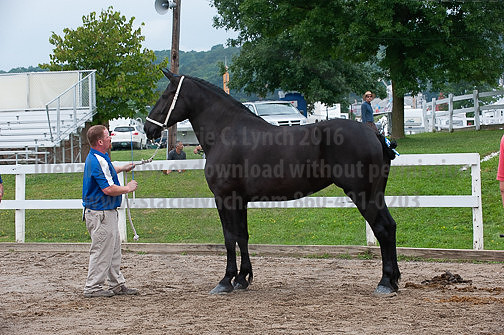 ACF_2012_SCL3437