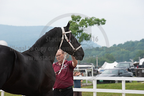 ACF_2012_SCL3373