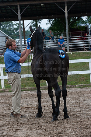ACF_2012_SCL3287