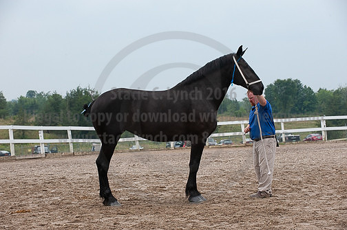 ACF_2012_SCL3433