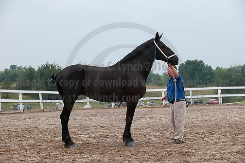 ACF_2012_SCL3432