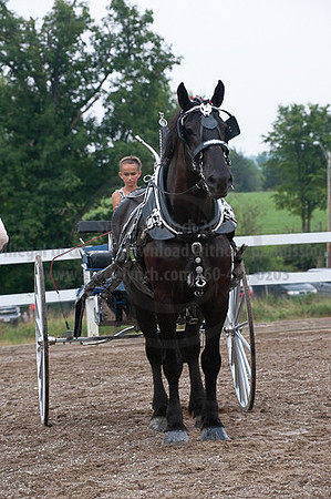 ACF_2012_SCL3742