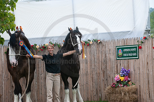 ACF_2012_SCL3498
